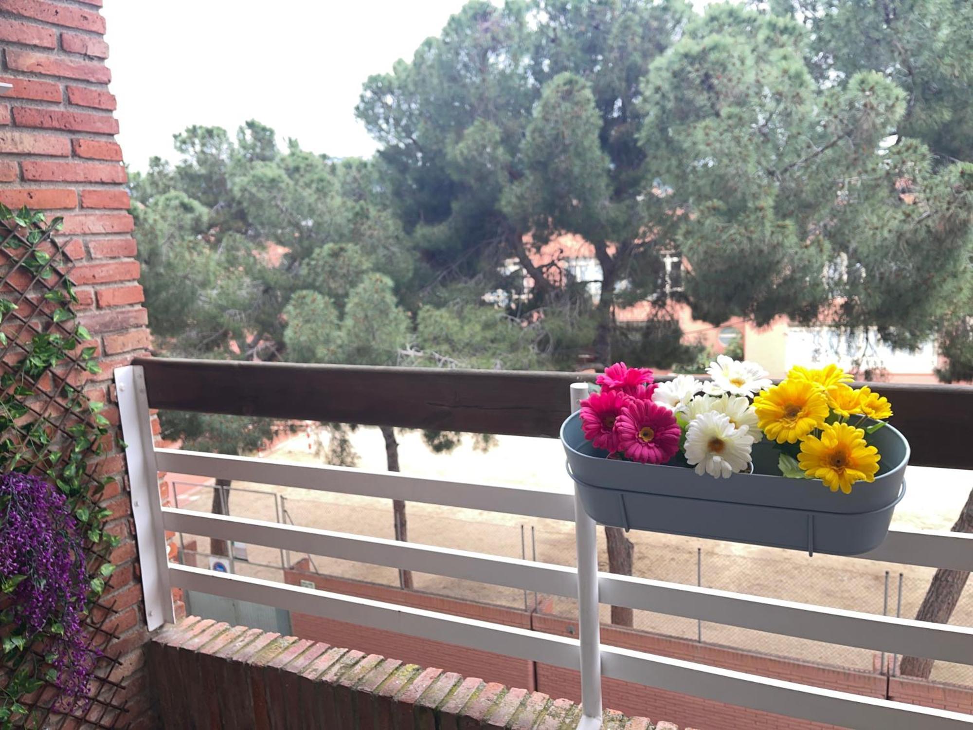 Apartment Lluis In ピネダ・デ・マール エクステリア 写真