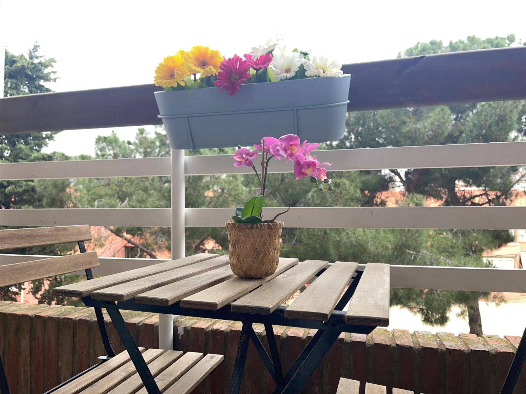 Apartment Lluis In ピネダ・デ・マール エクステリア 写真
